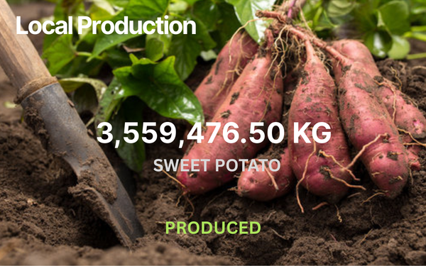 Sweet Potato Production